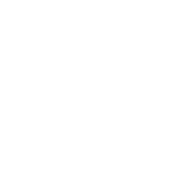 Forge Pizza